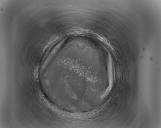 X0000085270010200703231752