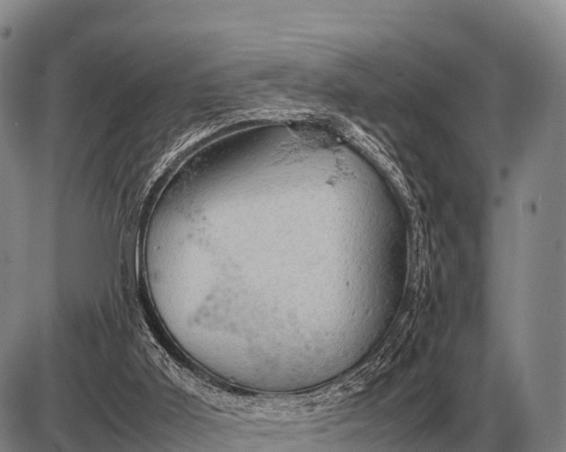 X0000085270011200703231752