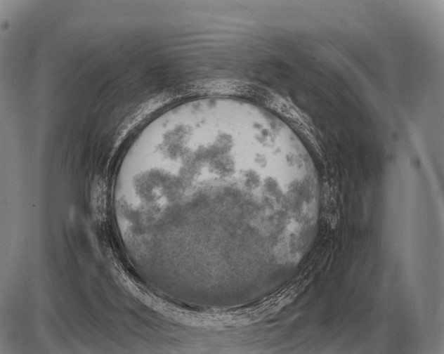 X0000085270012200703231752