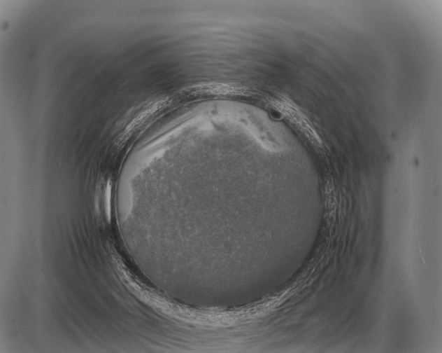 X0000085270014200703231752