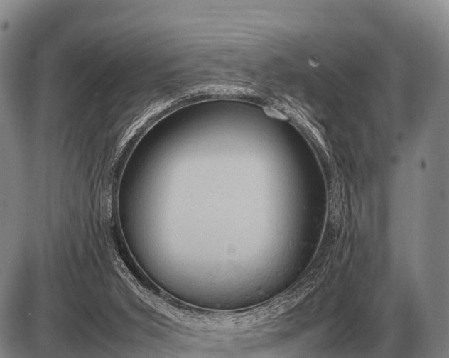 X0000085270015200703231752