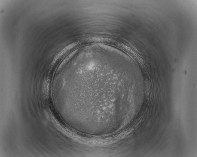 X0000085270016200703231752