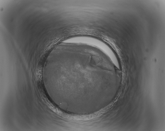 X0000085270017200703231752