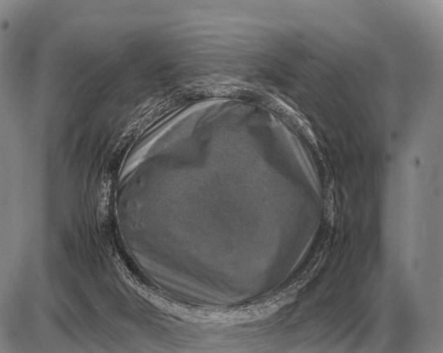 X0000085270018200703231752