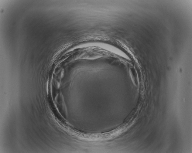 X0000085270019200703231752