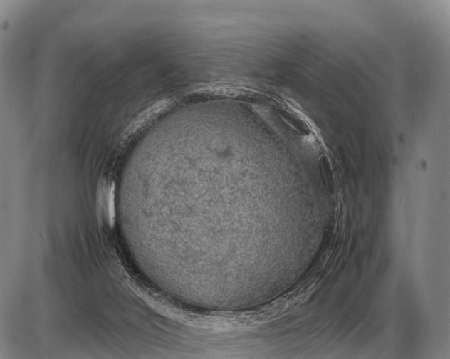 X0000085270020200703231752