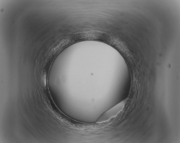 X0000085270021200703231752