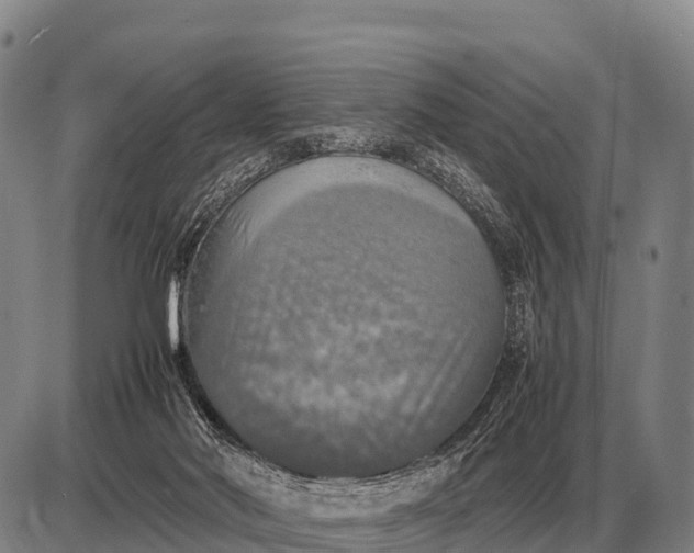 X0000085270022200703231752