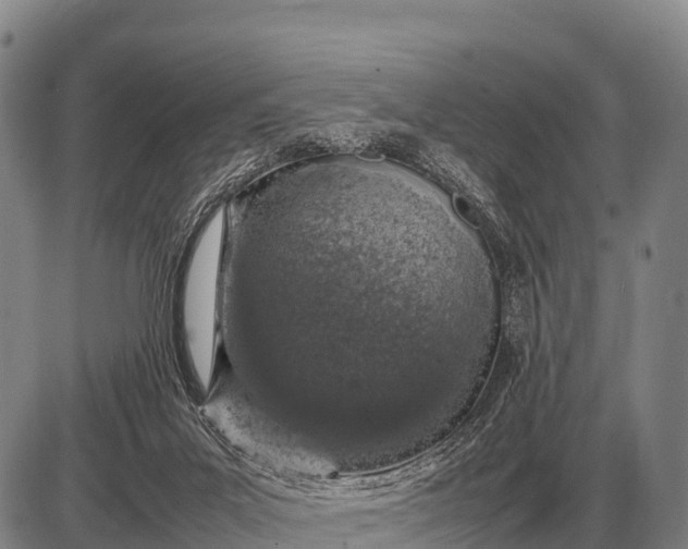 X0000085270023200703231752