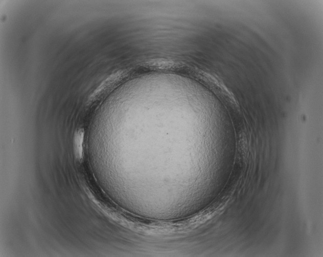 X0000085270024200703231752