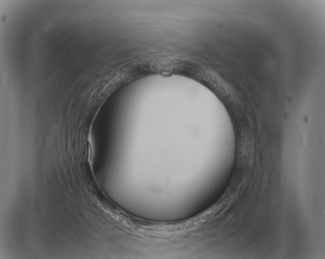 X0000085270025200703231752