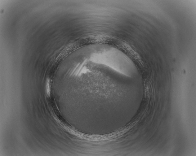 X0000085270026200703231752