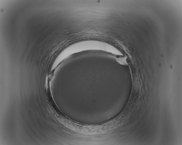 X0000085270027200703231752