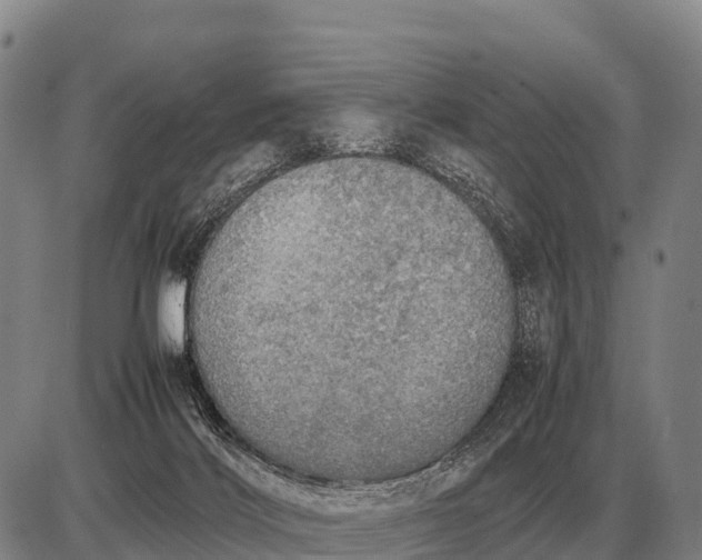 X0000085270028200703231752