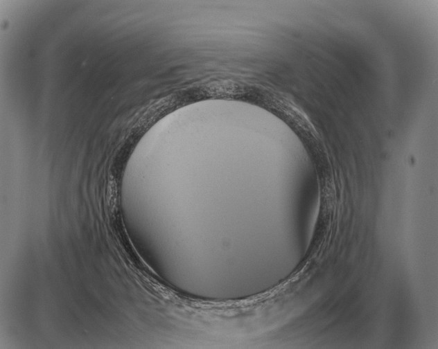 X0000085270029200703231752