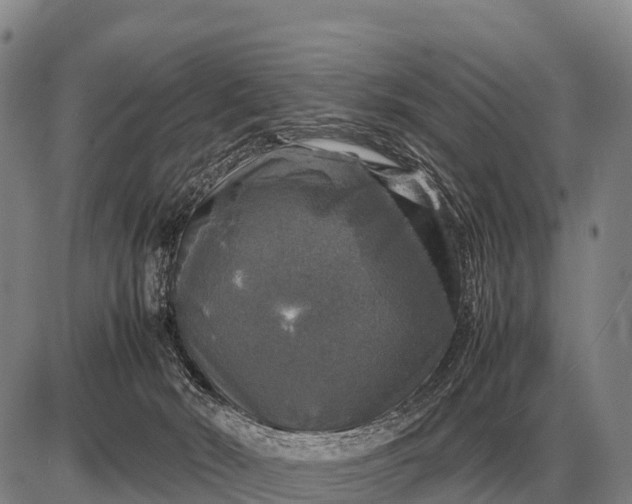 X0000085270030200703231752