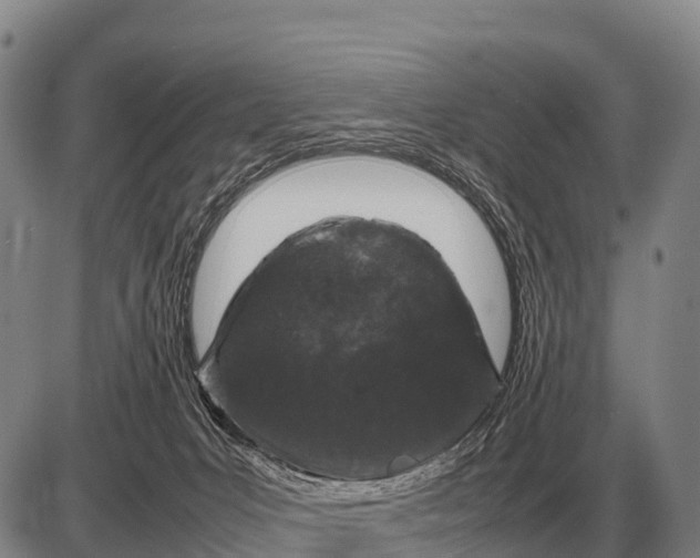 X0000085270031200703231752