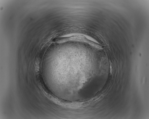 X0000085270032200703231752