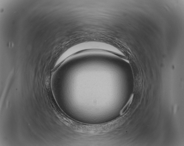 X0000085270033200703231752