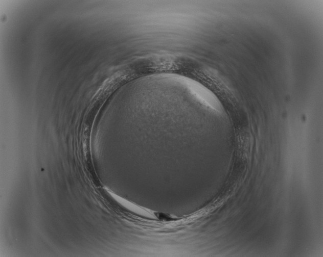 X0000085270035200703231752