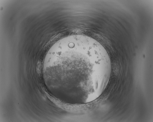 X0000085270036200703231752