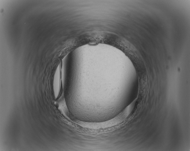 X0000085270037200703231752