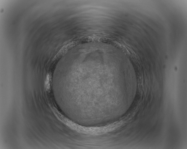 X0000085270038200703231752