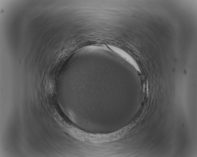 X0000085270039200703231752