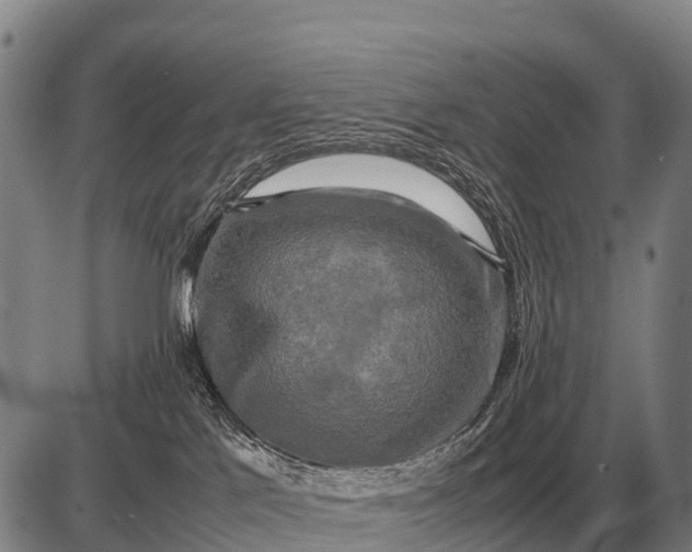 X0000085270041200703231752