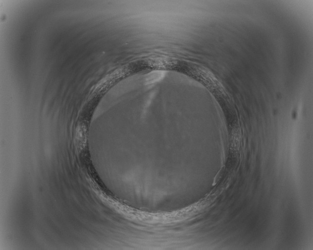 X0000085270043200703231752