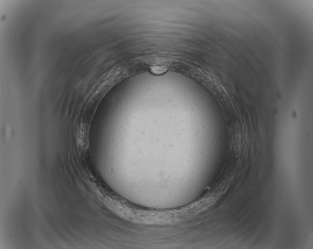 X0000085270044200703231752