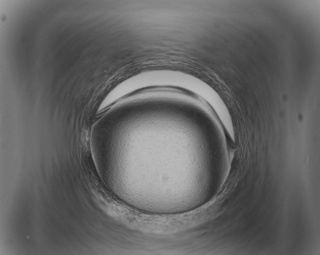 X0000085270045200703231752