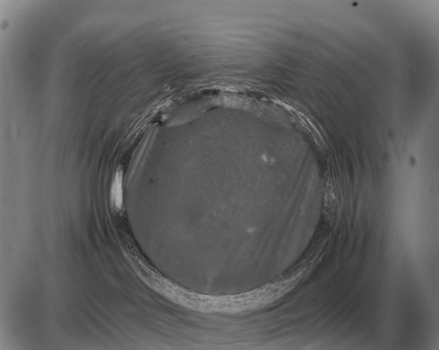 X0000085270046200703231752