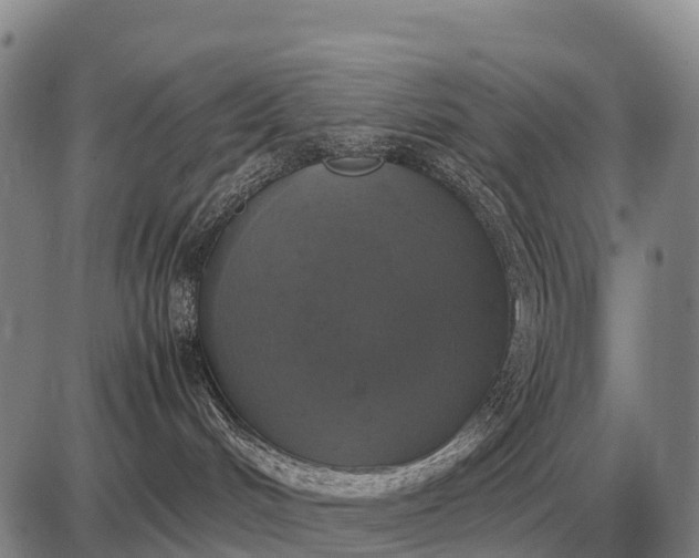 X0000085270048200703231752