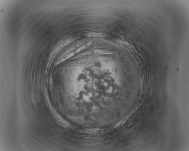 X0000085270049200703231751