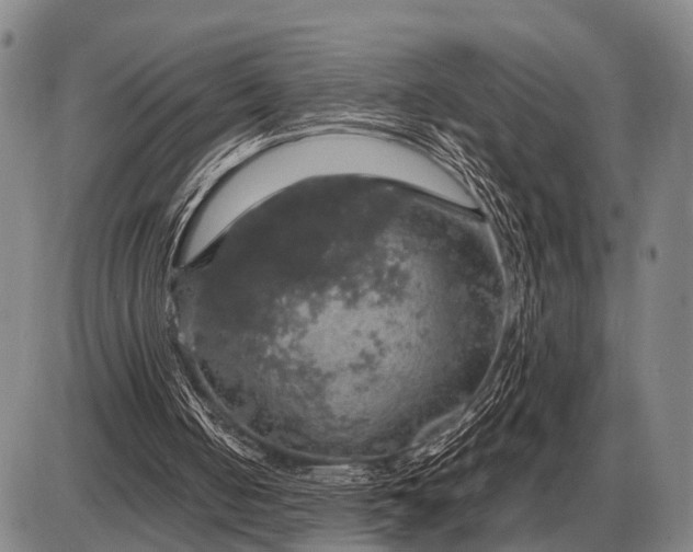 X0000085270050200703231751