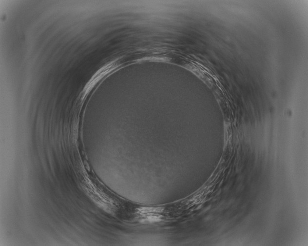 X0000085270051200703231751