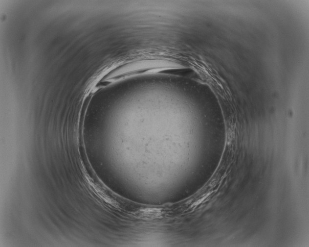 X0000085270052200703231751