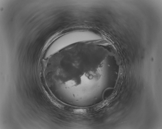 X0000085270053200703231751