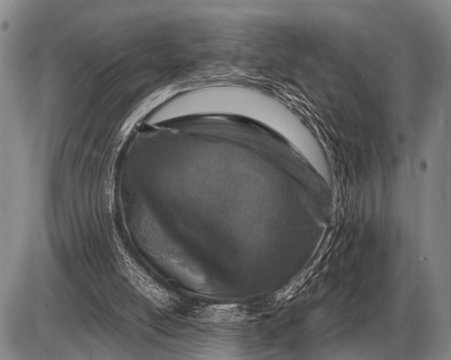 X0000085270054200703231751