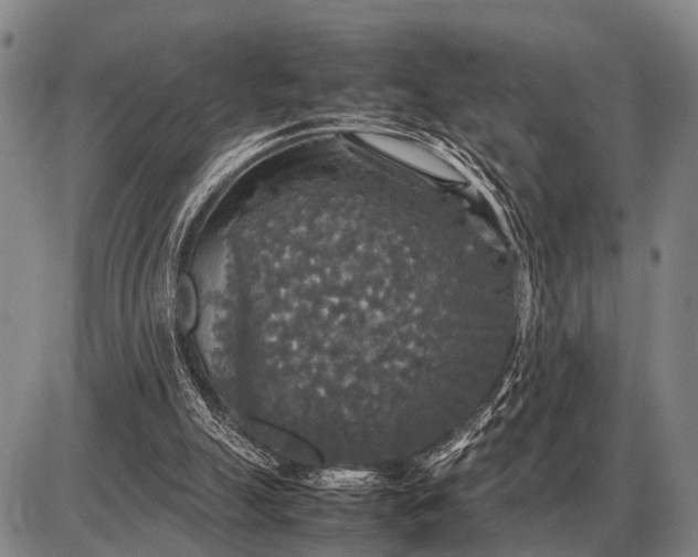 X0000085270055200703231751