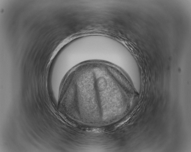 X0000085270056200703231751