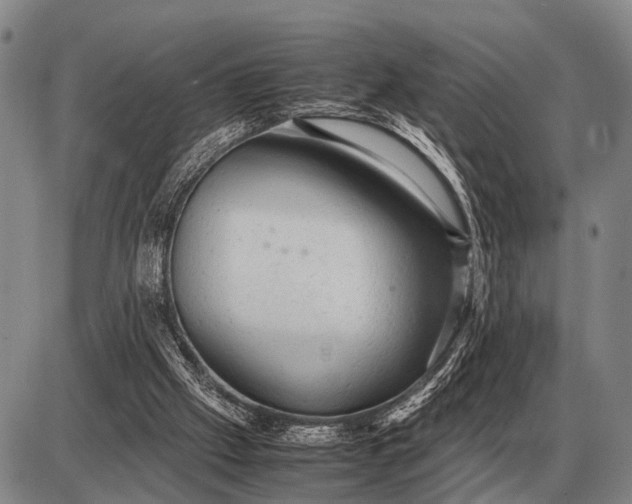 X0000085270057200703231751