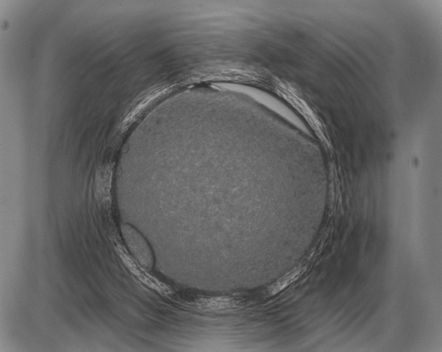 X0000085270058200703231751