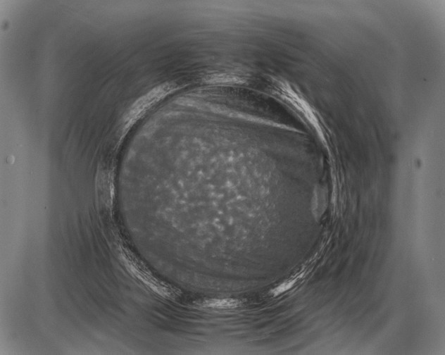 X0000085270059200703231751