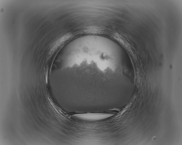 X0000085270062200703231751