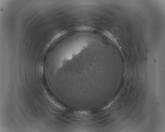 X0000085270063200703231751