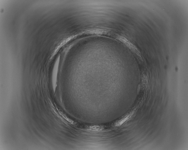 X0000085270064200703231751