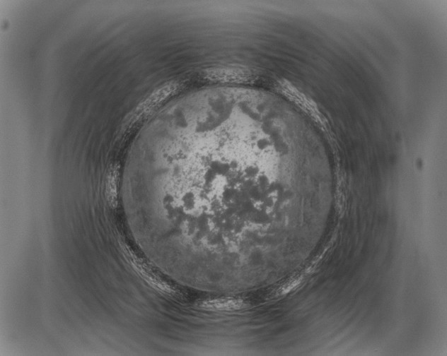 X0000085270065200703231751