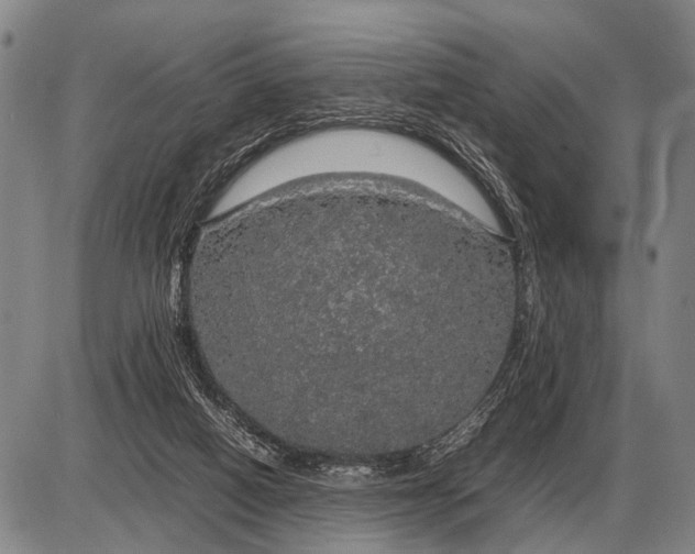 X0000085270066200703231751